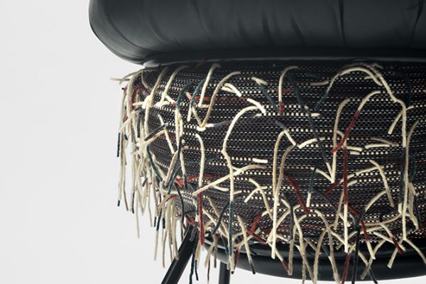 Bolon_BD_Burks_DetalleGrasso