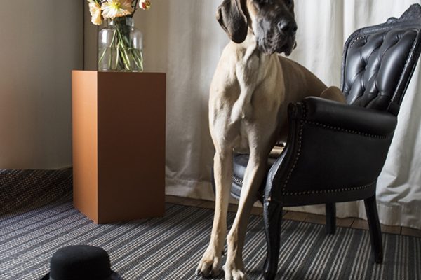 Bolon_Rugs_VLM_PetiteKhaki3