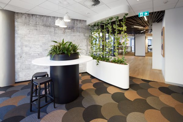 Dorado Property, WA, Australia - BKB Sisal Plain Black, Ethnic Abisko and Gabna