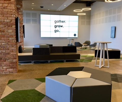 Edge Church International Rug, SA, Australia - Botanic Cilia, Osier, Picea and Ivy