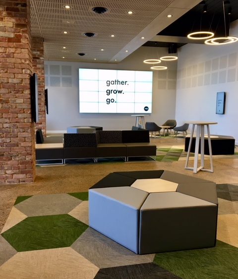 Edge Church International Rug, SA, Australia - Botanic Cilia, Osier, Picea and Ivy